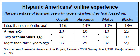 Hispanic Americans' online experience