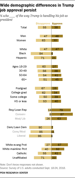 Wide demographic differences in Trump job approval persist