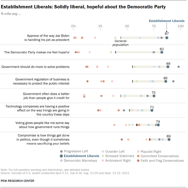 Chart shows Establishment Liberals: Solidly liberal, hopeful about the Democratic Party