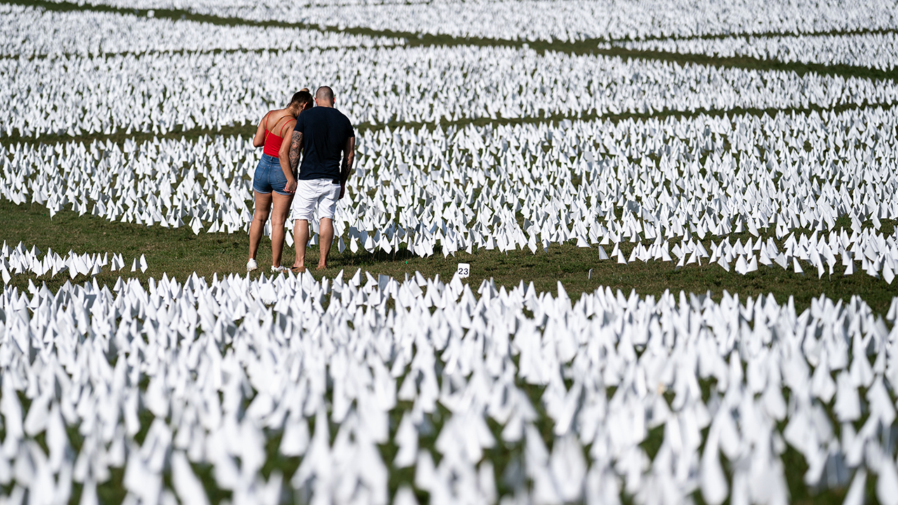 A photo showing an installation of more than 650,000 flags commemorating the Americans who had died due to COVID-19 on the National Mall in Washington, D.C., in September 2021.