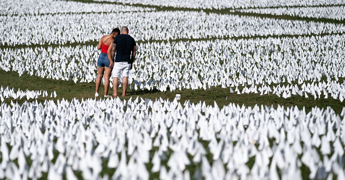 A photo showing an installation of more than 650,000 flags commemorating the Americans who had died due to COVID-19 on the National Mall in Washington, D.C., in September 2021.