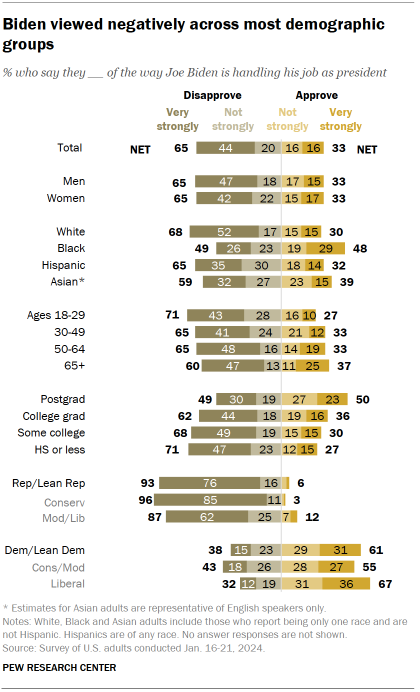 Chart shows Biden viewed negatively across most demographic groups