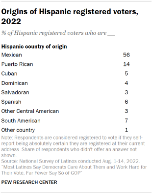 Table shows origins of Hispanic registered voters, 2022