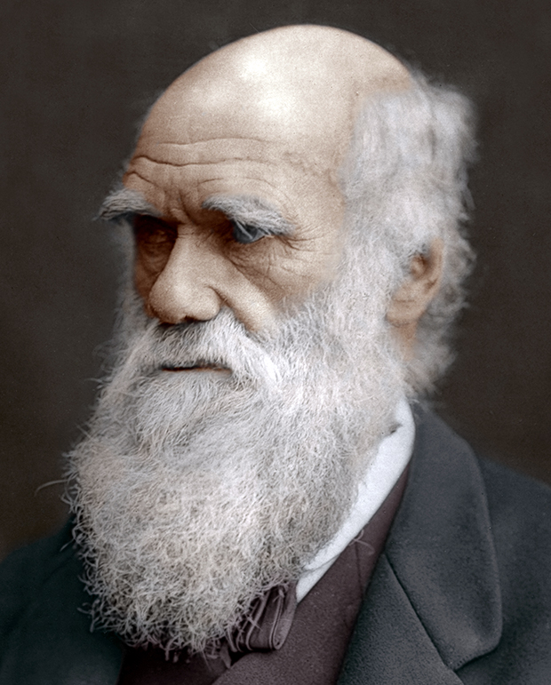 Theory of Evolution: Charles Darwin and Natural Selection - Earth How