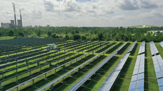 A photo that shows Orlando Utility Commission's Stanton Solar Farm outside Orlando, Florida, in September 2021. In the distance is the utility's Stanton Energy Center, powered by coal and natural gas.