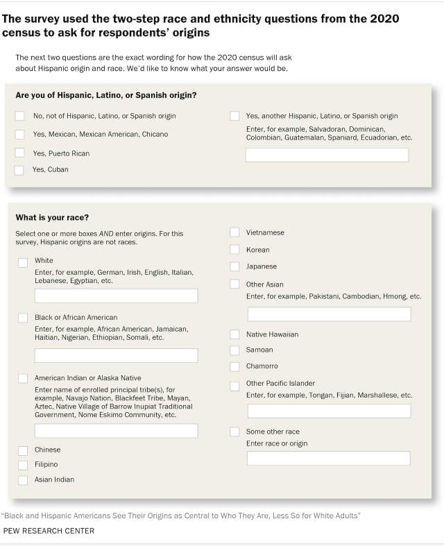 The survey used the two-step race and ethnicity questions from the 2020 census to ask for respondents' origins