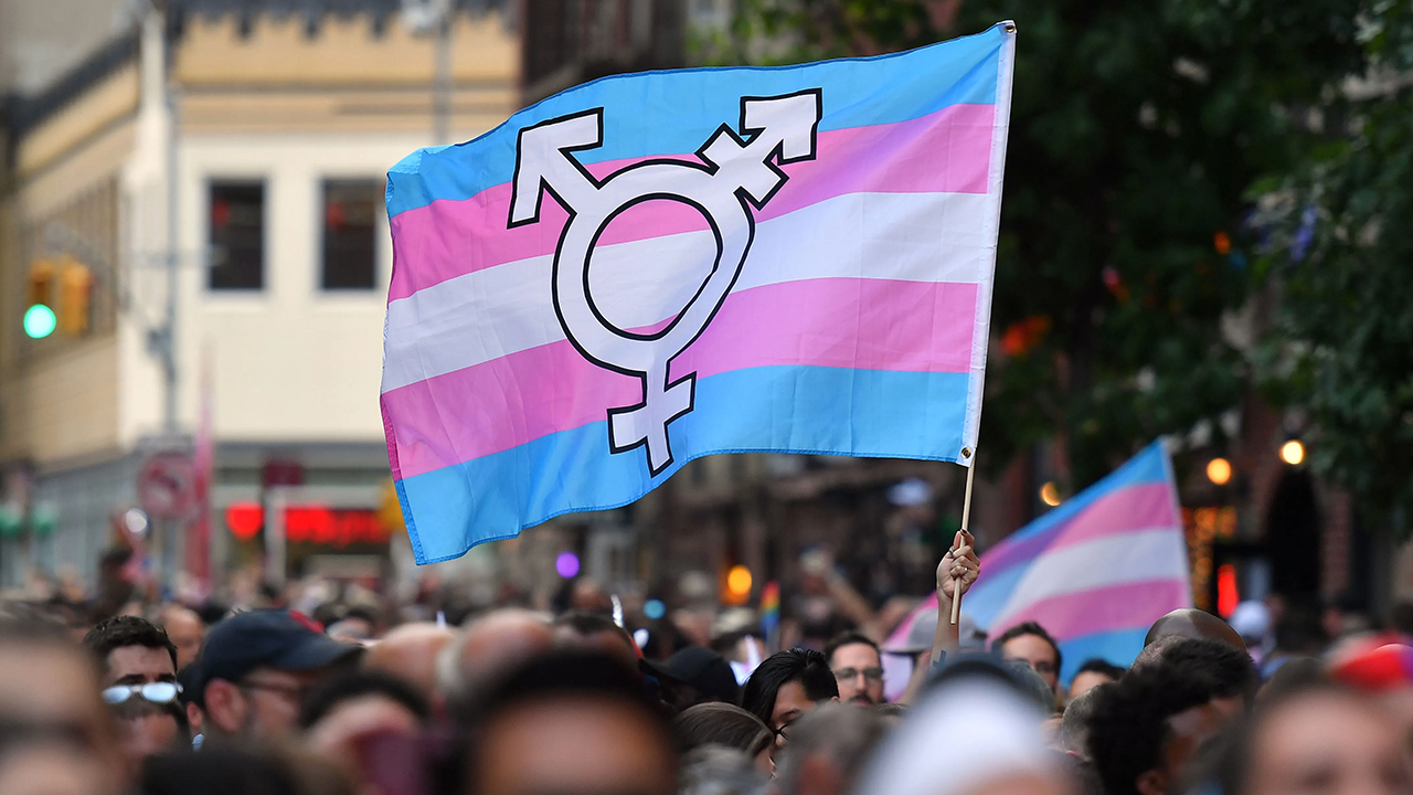 The Experiences, Challenges and Hopes of Transgender and Nonbinary