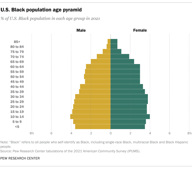 Chart showing the U.S. Black population age pyramid