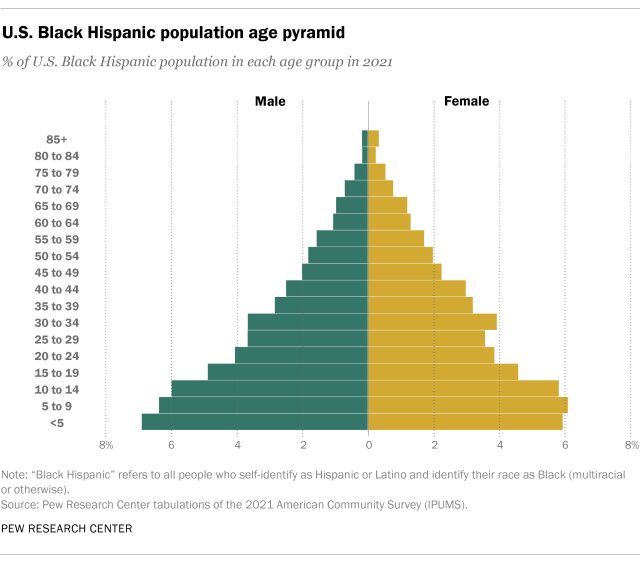 A chart showing the U.S. Black Hispanic age pyramid