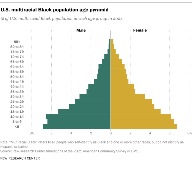 A chart showing the U.S. multiracial Black age pyramid