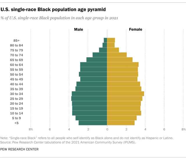 A chart showing the U.S. single-race Black age pyramid