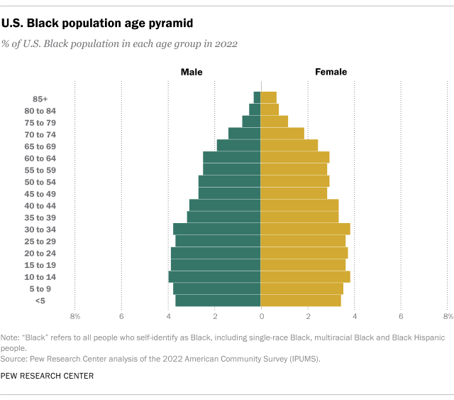 Chart showing U.S. Black population age pyramid