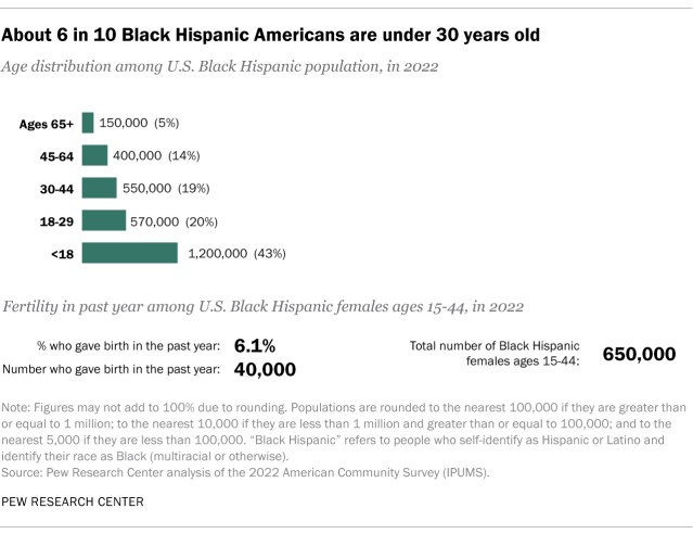 Bar chart showing about 6 in 10 Black Hispanic Americans are under 30 years old