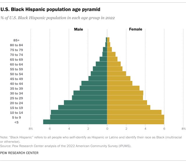 Chart showing U.S. Black Hispanic population age pyramid