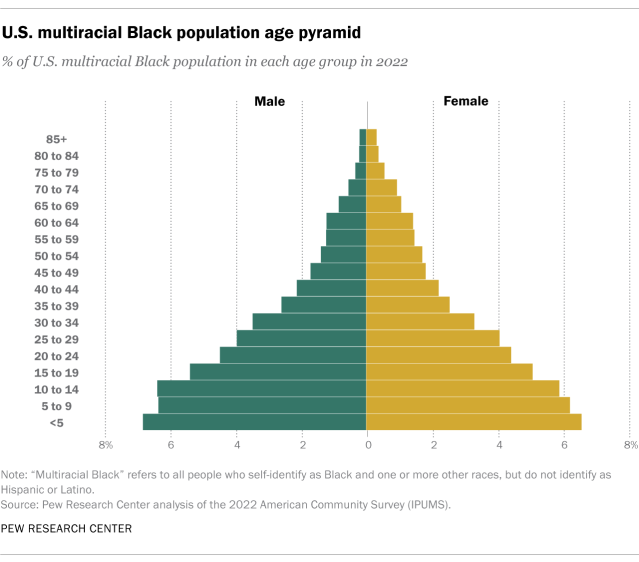 Chart showing U.S. multiracial Black population age pyramid