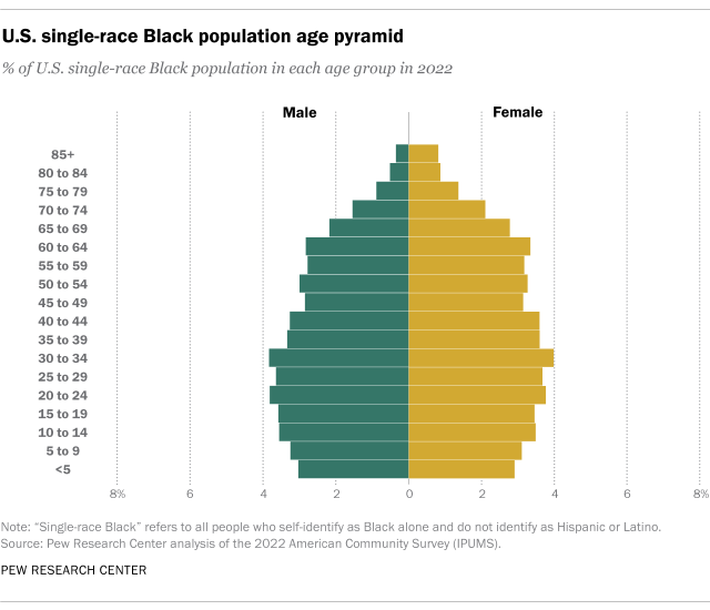 Chart showing U.S. single-race Black population age pyramid