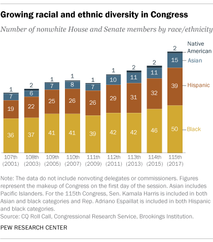 Ethnic Diversity Pie Chart