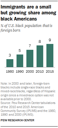 percentage of black in houston