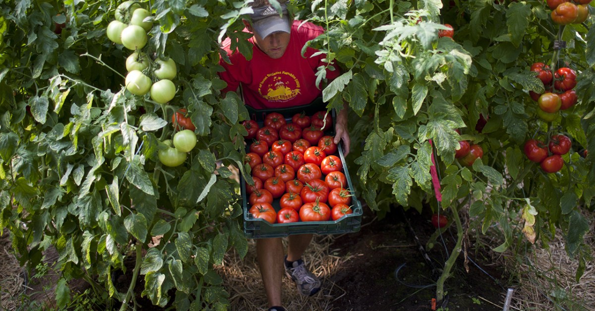 Which states the most organic | Pew Center