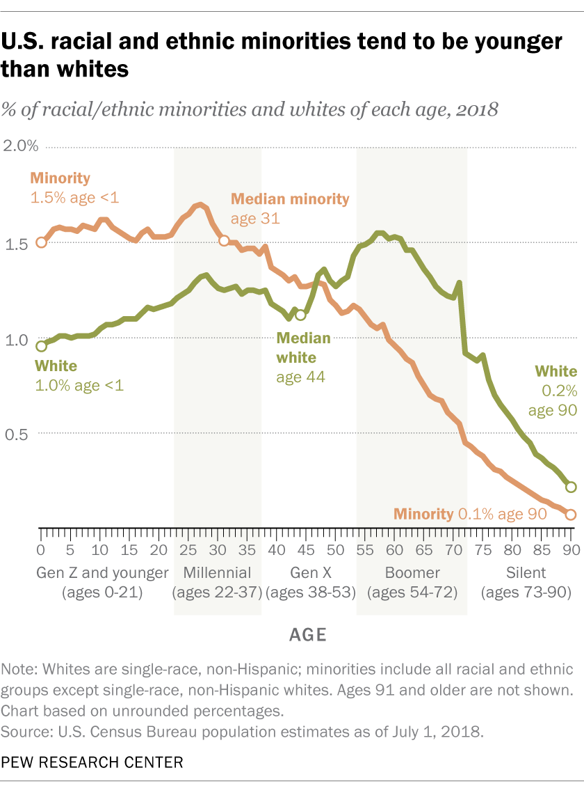 America Race Demographics Pie Chart