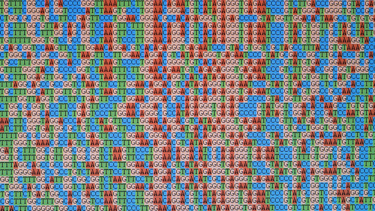 Unaligned DNA sequences displayed on an LCD monitor screen