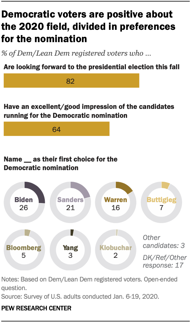 Democratic voters are positive about the 2020 field, divided in preferences for the nomination