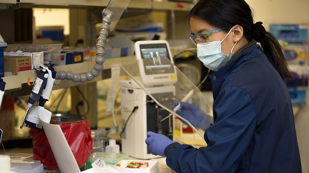 A medical scientist runs a clinical test at the UW Medicine immunology lab in Seattle to look for antibodies against a virus strain that causes COVID-19. (Karen Ducey/Getty Images)
