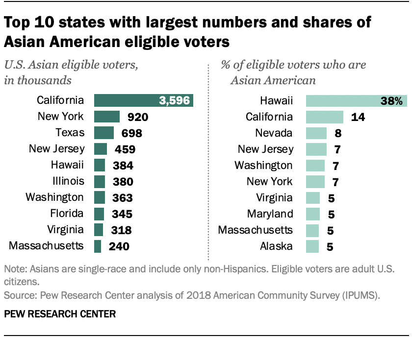 Main Ethnic Groups In America 