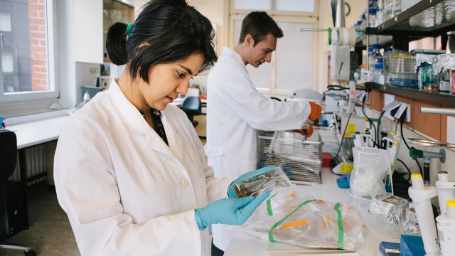 Two young researchers, one man and one woman, working in a lab. (fotografixx via Getty Images)
