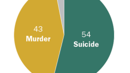 A pie chart showing that suicides accounted for more than half of U.S. gun deaths in 2020