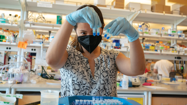 A scientist at the University of Washington works on vaccine and protein research in May 2022.
