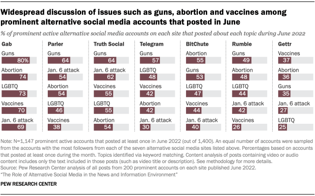 一张条形图显示 6 月份发布的著名替代社交媒体账户对枪支、堕胎和疫苗等问题进行了广泛讨论