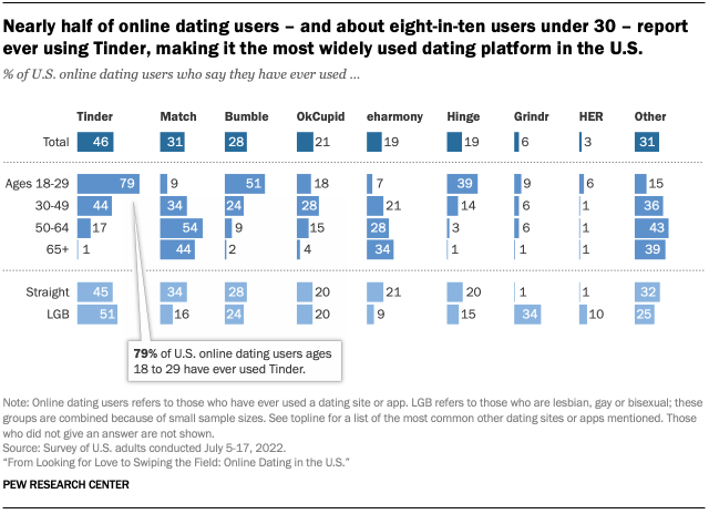 percent of americans dating online