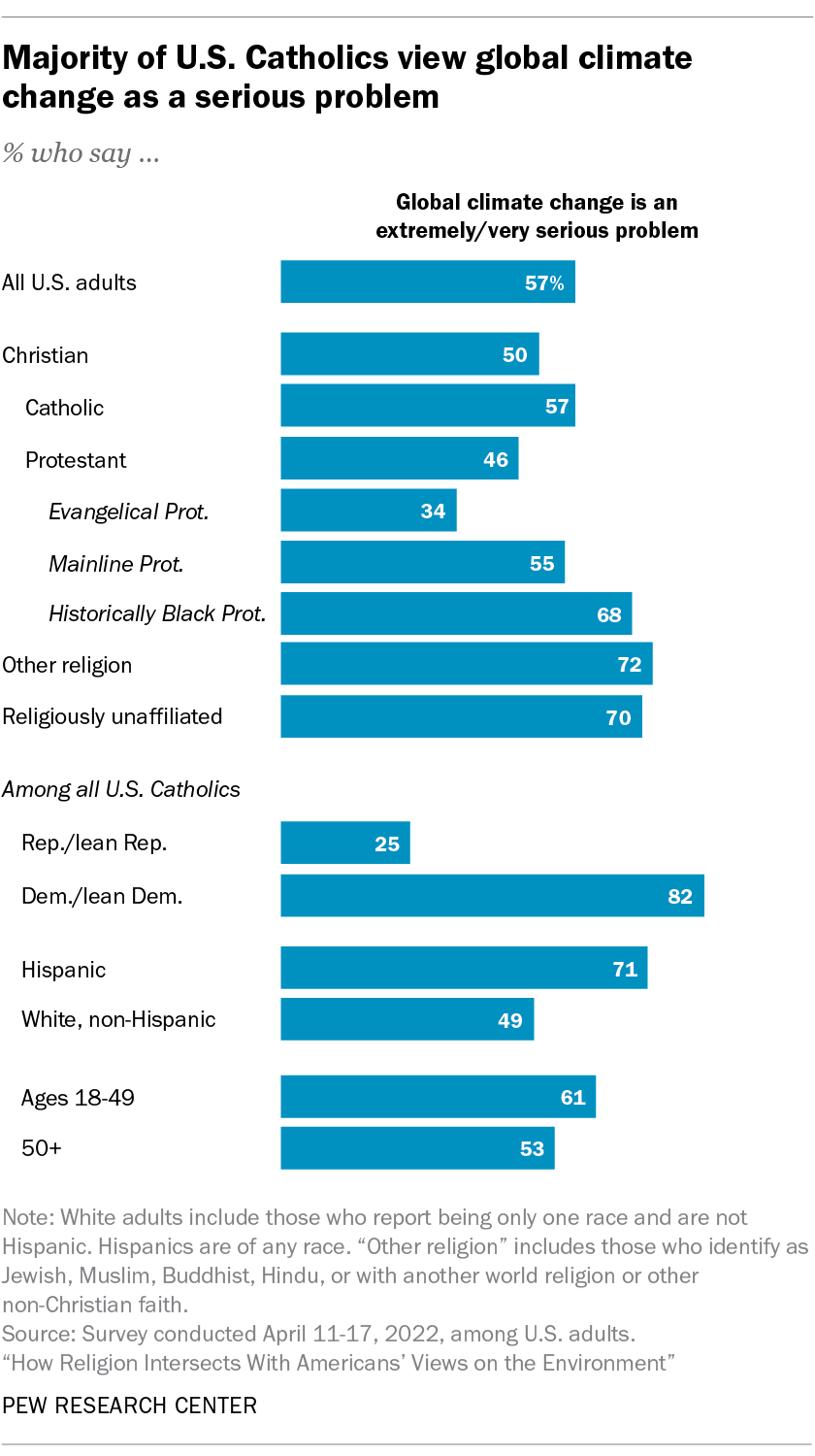 A bar chart showing that the majority of U.S. Catholics view global climate change as a serious problem