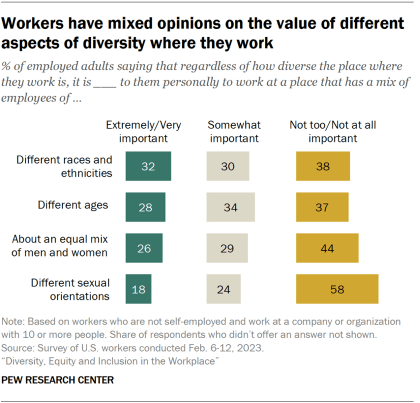 A bar chart that shows workers have mixed opinions on the value of different aspects of diversity where they work.