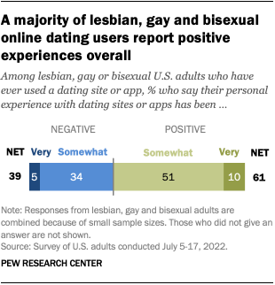 A bar chart that shows a majority of lesbian, gay and bisexual online dating users report positive experiences overall.