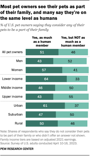 More Americans to buy gifts for pets than in-laws, survey finds