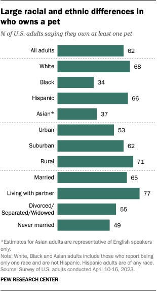 A bar chart that shows large racial and ethnic differences in who owns a pet.