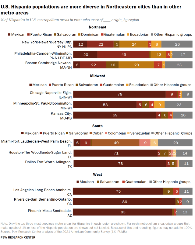 A bar chart showing that the U.S. Hispanic populations are more diverse in Northeastern cities than in other metro areas.