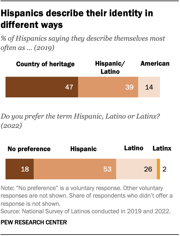 A bar chart that shows Hispanics describe their identity in different ways.