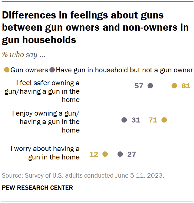 A chart showing the differences in feelings about guns between gun owners and non-owners in gun households.