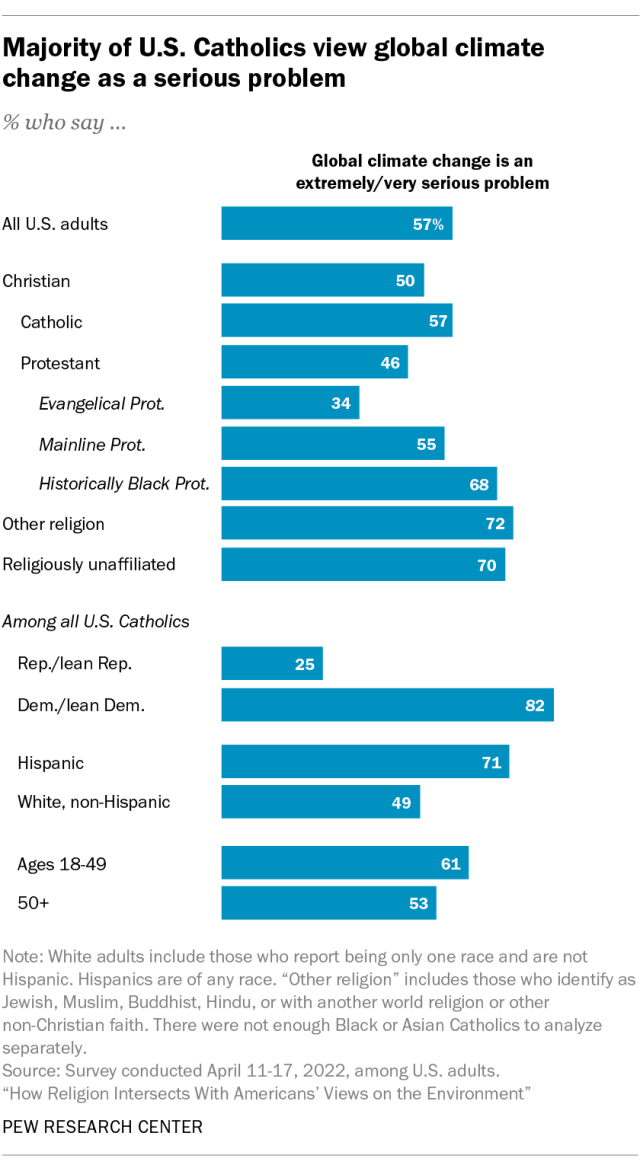 A horizontal bar chart showing that a majority of U.S. Catholics view global climate change as a serious problem.