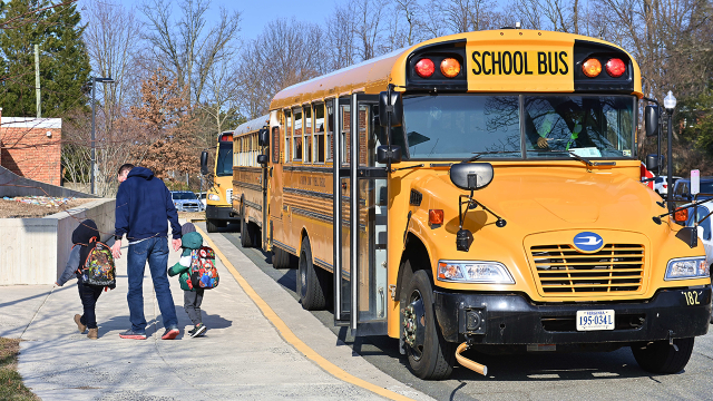 School buses arrive at an elementary school in Arlington, Virginia. (Chen Mengtong/China News Service via Getty Images)