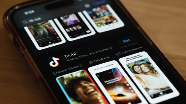 A photo of TikTok in the Apple App store. (Michael M. Santiago/Getty Images)