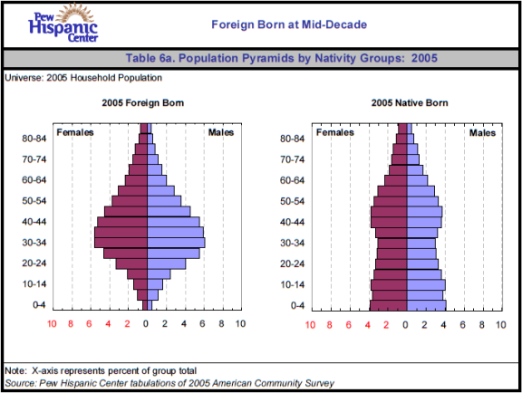 Table 6a. Population Pyramids by Nativity Groups: 2005