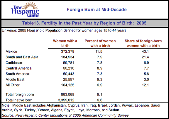 Table13. Fertility in the Past Year by Region of Birth: 2005