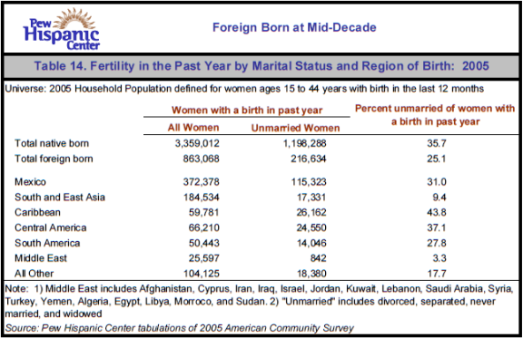 Table 14. Fertility in the Past Year by Marital Status and Region of Birth: 2005