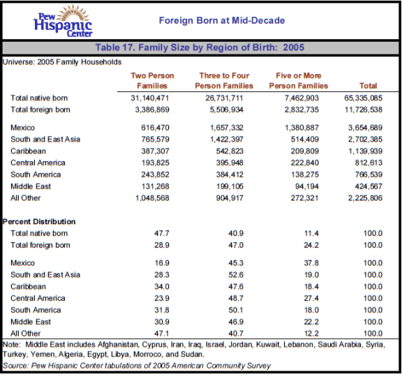 Table 17. Family Size by Region of Birth: 2005