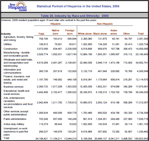 Table 26. Industry by Race and Ethnicity: 2006