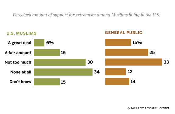 Views of Support for Extremism